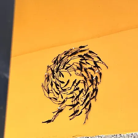 La Casetta Del Vicolo 公寓 *